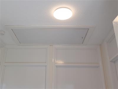 Picture 11